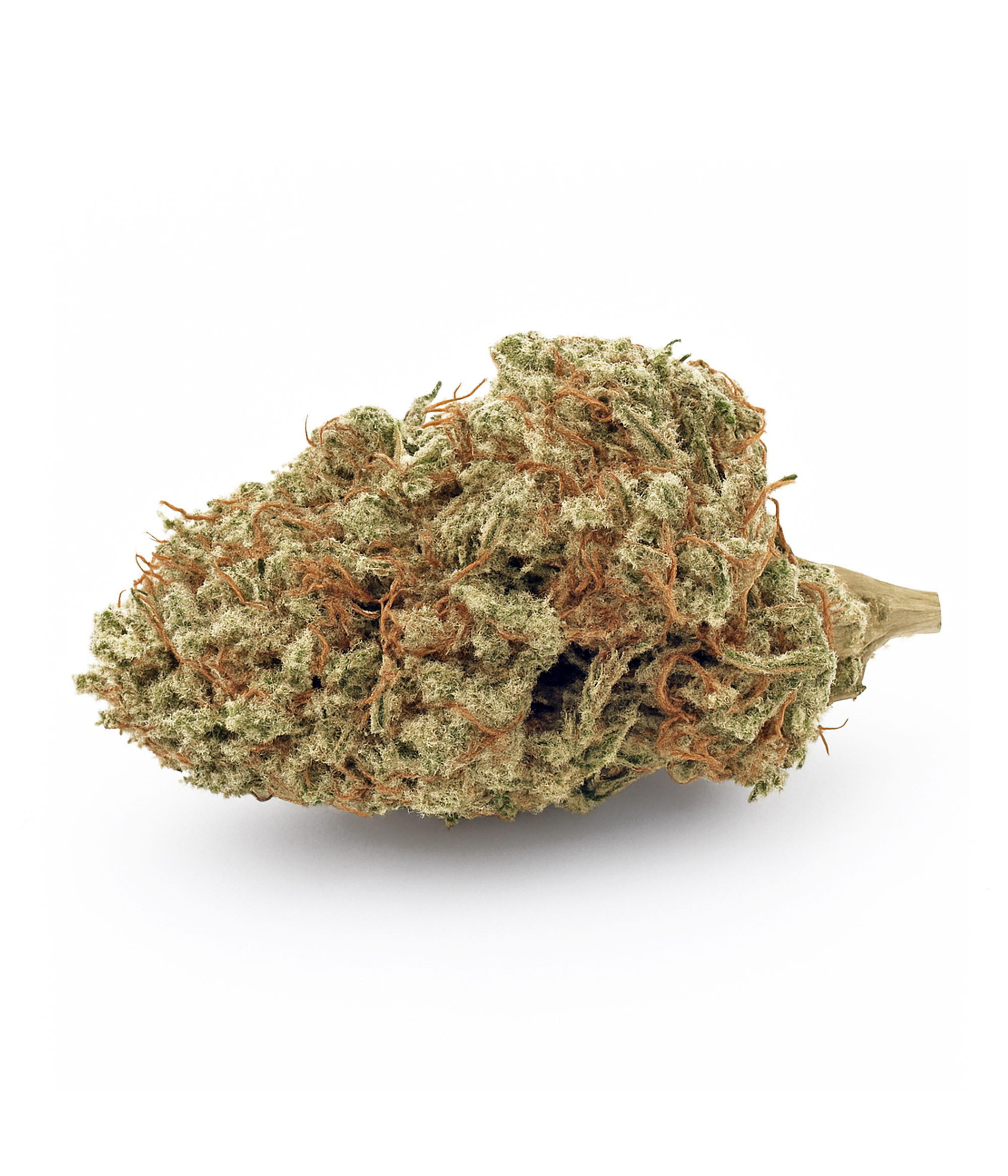 Lemon haze 2025