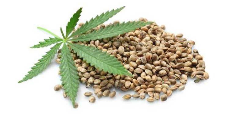 Marijuana seeds