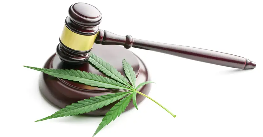 Le THC est-il légal ?