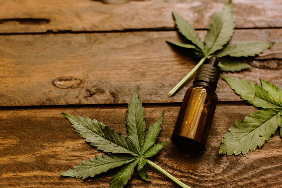 El aceite de CBD es uno de los derivados del cannabis más potentes que existen en la actualidad, debido al alto grado de pureza del principio activo del preparado.