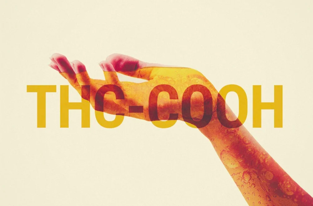 Après l'ingestion, le THC est décomposé en métabolite 11-OH-THC, puis en THC-COOH, qui est à son tour décomposé en THC-COOH-glucuronide, qui est ensuite excrété dans l'urine et les fèces.