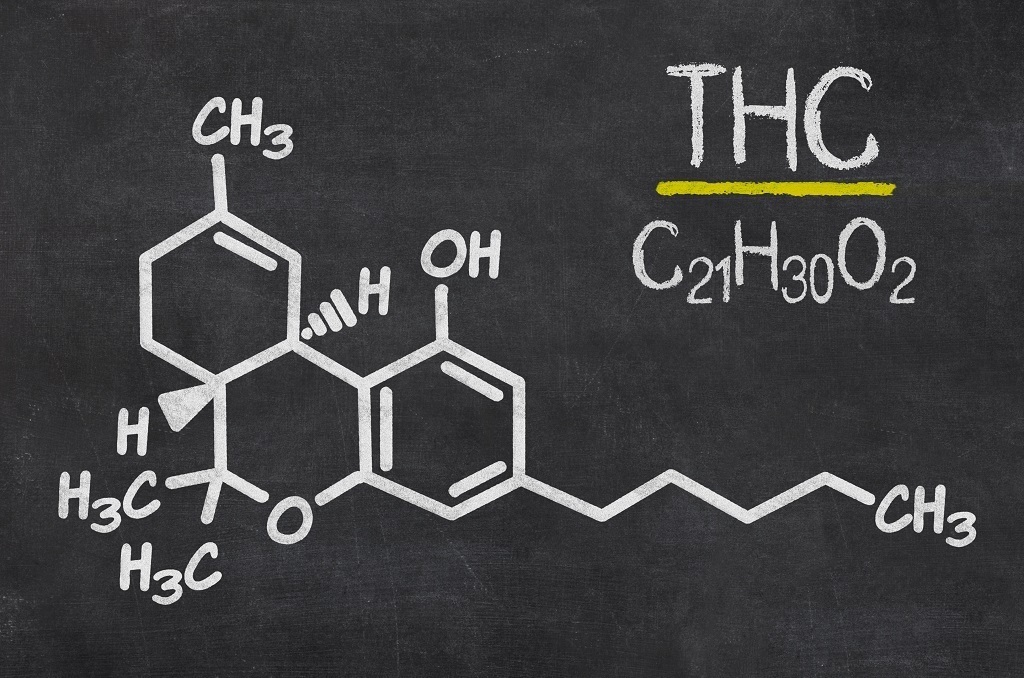 El THC o tetracannabidiol es la principal sustancia química responsable de lo que generalmente son los efectos psicológicos y psicoactivos dados por la ingestión de la planta de cannabis sativa.